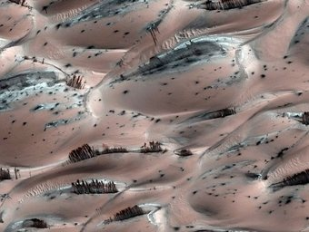 Illustration for article titled The Gorilla On Mars Isn't The Weirdest Thing We've Spotted There